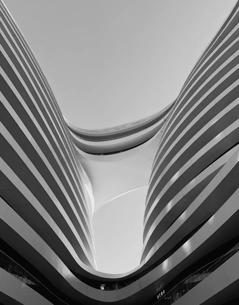 Series 01 — Curves