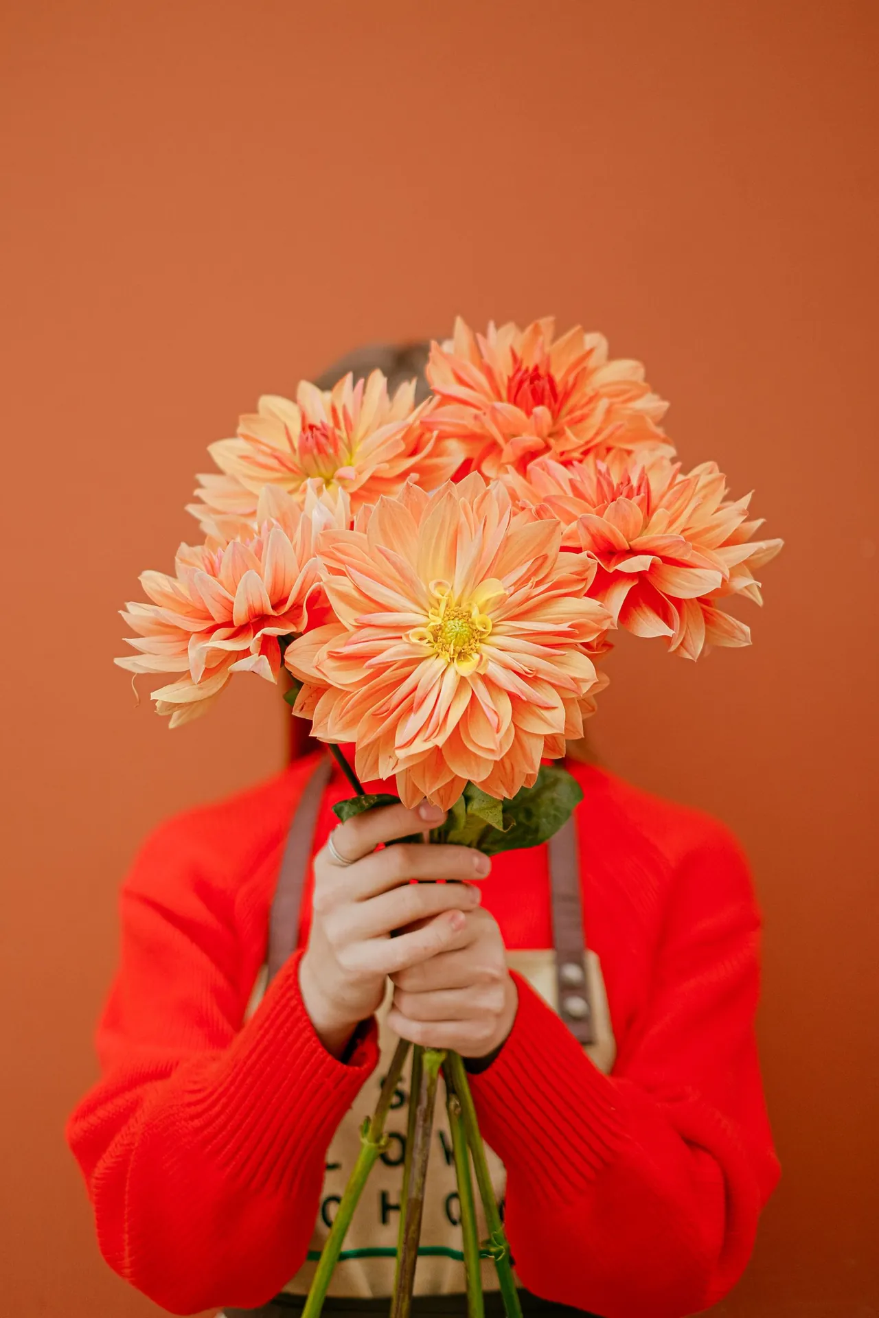 Florist holding a bunch of orange dahlias in front of their face against an orange wall.