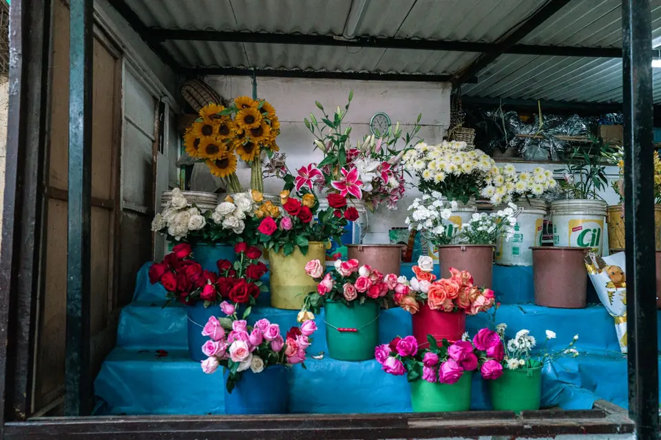 Stall of cut flowers in colourful buckets under an awning.