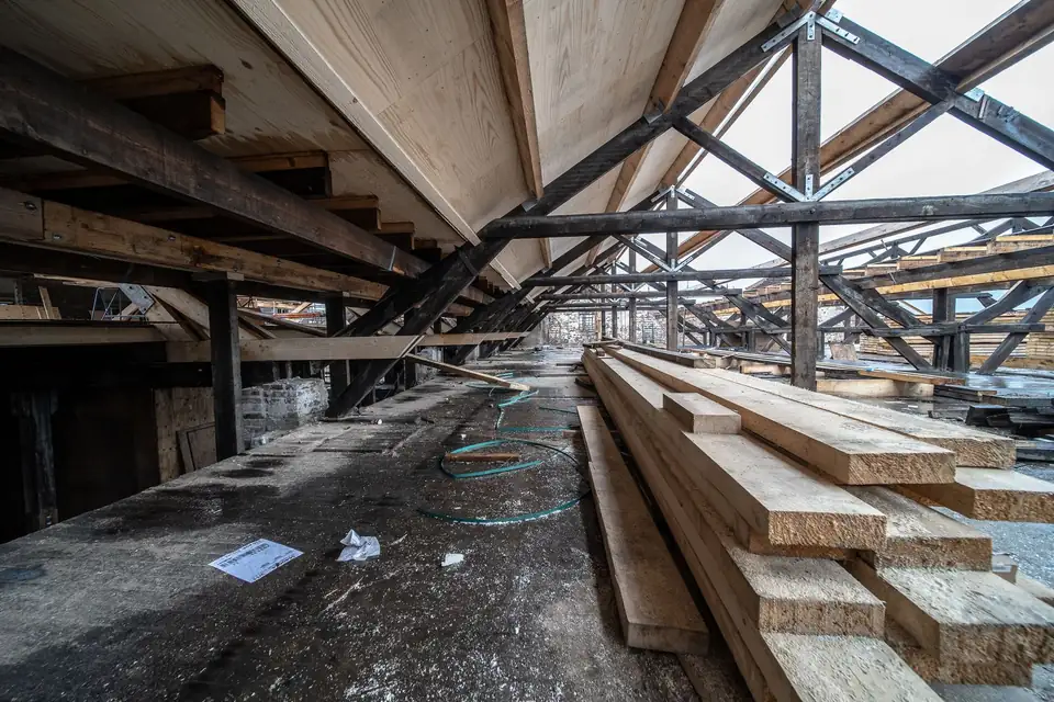 Exposed timber roof structure in a space under renovation.