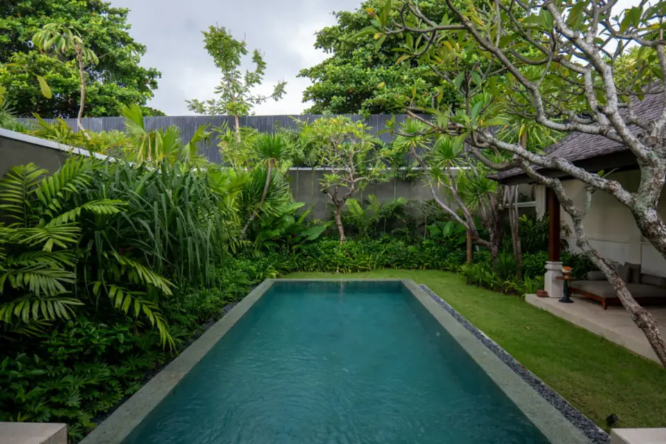 Narrow swimming pool in a lush tropical garden.