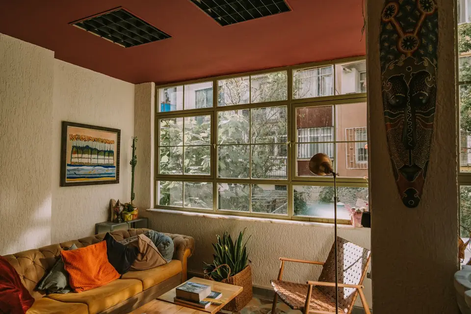 Bright, warm living room with a cushioned sofa and plants.