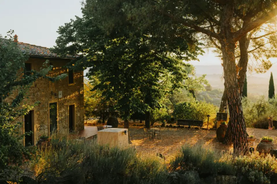 Stone house under pine trees in the golden late-afternoon light.