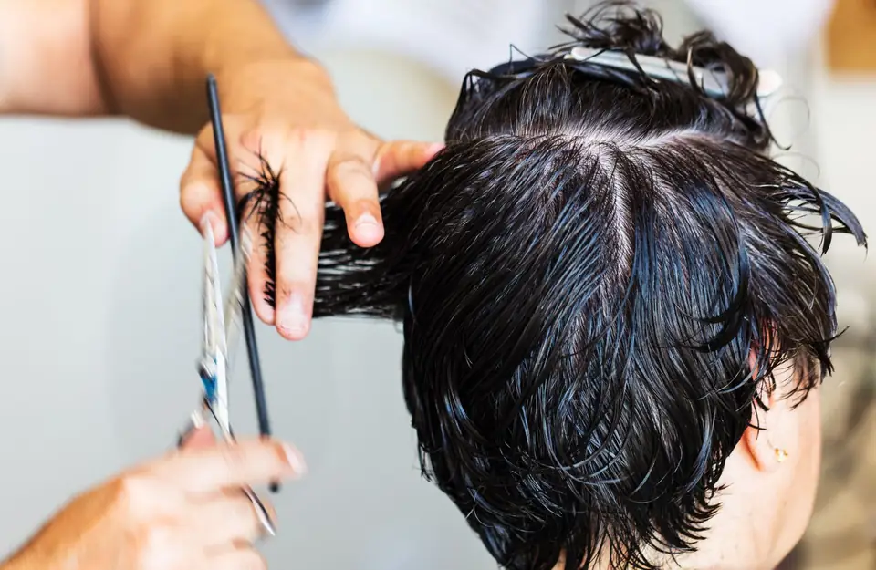Stylist cutting a section of wet hair with scissors.